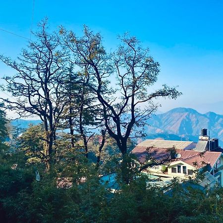 The Travelista Shimla Bed & Breakfast Eksteriør bilde