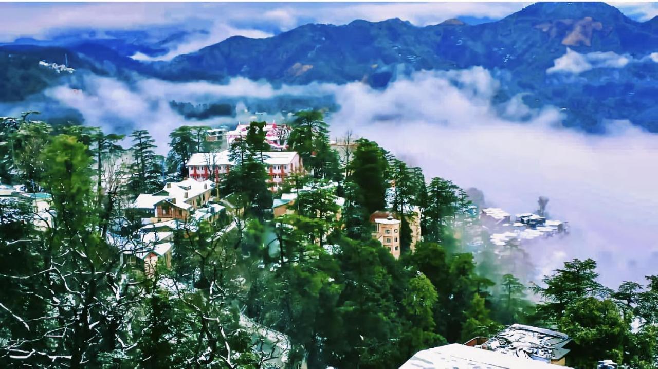 The Travelista Shimla Bed & Breakfast Eksteriør bilde